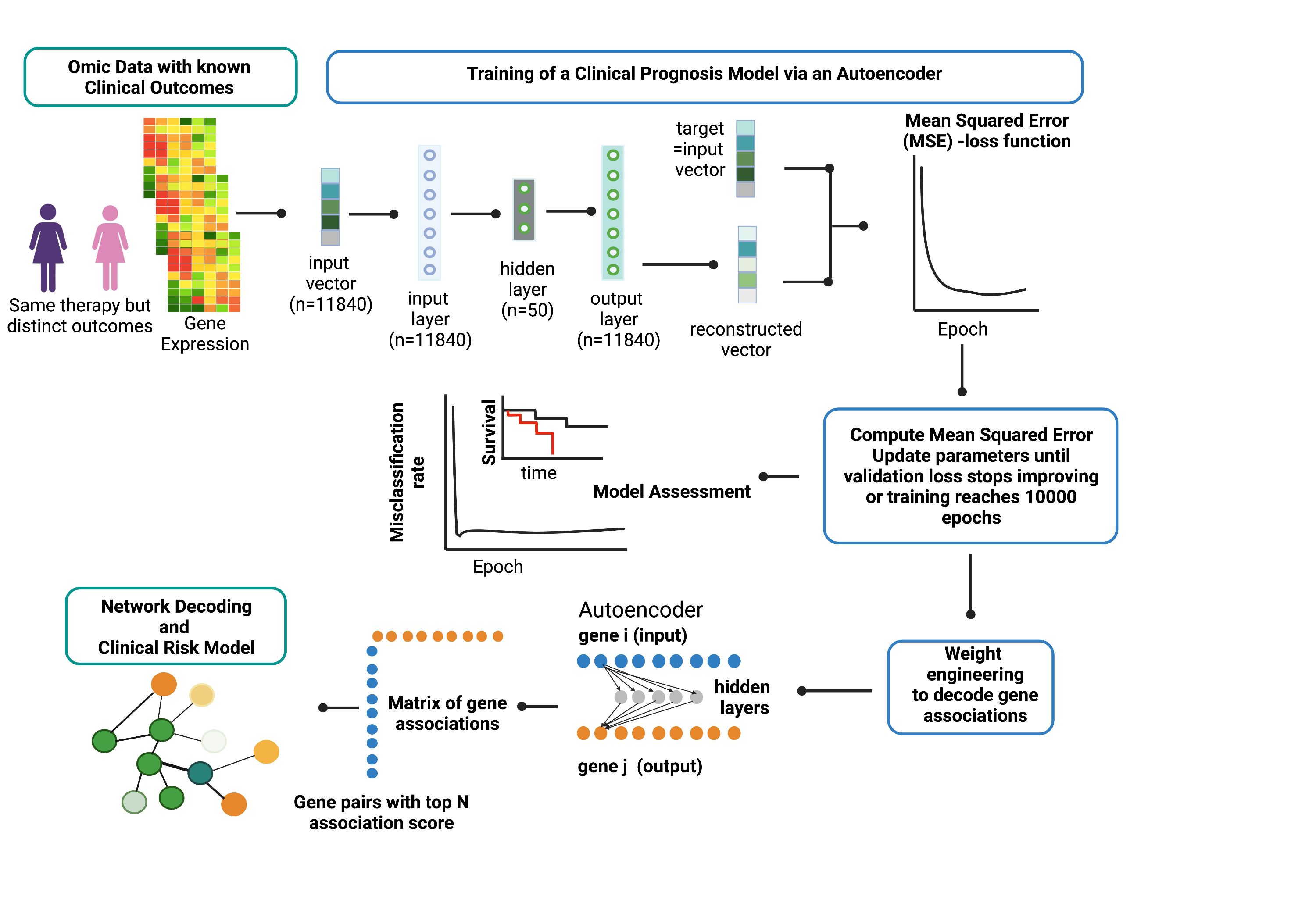 ANNE workflow